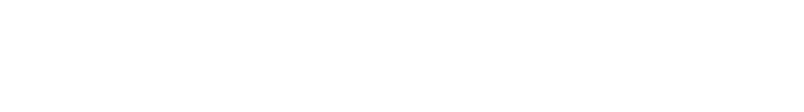 SW-Techniek_Logo_Voluit